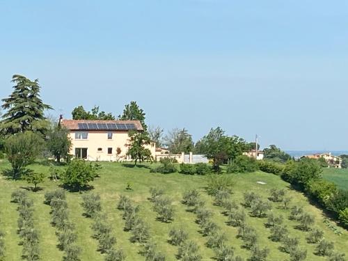  Rio Sabbioso, Unterkunft in Dozza