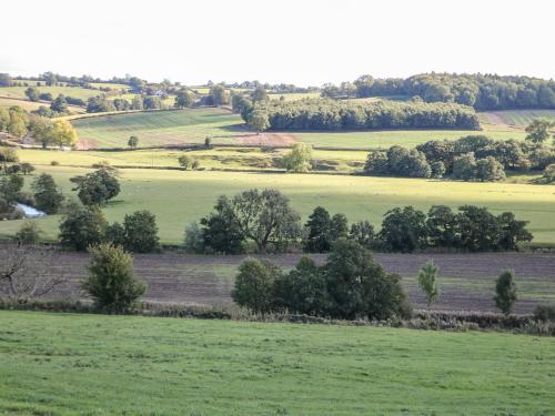 Orchard Cottage