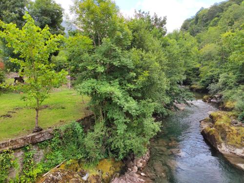 Apartamento Aguas del Sella in Sames