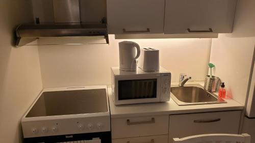 Cozy 1 bedroom apartment in Oslo centrum