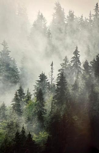Moderne Neubauwohnung bei Köln Moderne Neubauwohnung bei Köln