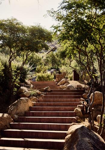 Sanctuary Camelback Mountain