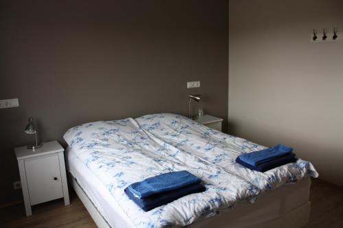Skútustadir Guesthouse Room Type - Family Room with Private Bathroom