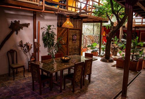 Refugio del Jaguar, Medellín (photo 10)