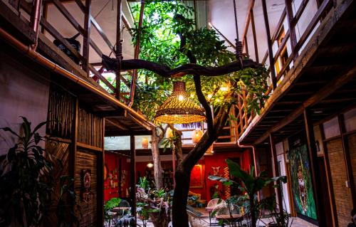 Refugio del Jaguar, Medellín (photo 6)