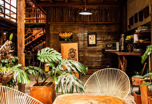 Refugio del Jaguar – Medellin, VT