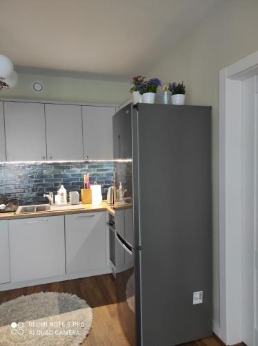 Konyha, Apartament na Wzgórzu Niebieski (Apartament na Wzgorzu Niebieski) in Lancut