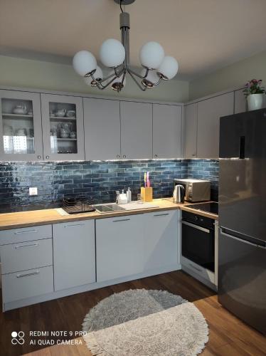 Konyha, Apartament na Wzgórzu Niebieski (Apartament na Wzgorzu Niebieski) in Lancut