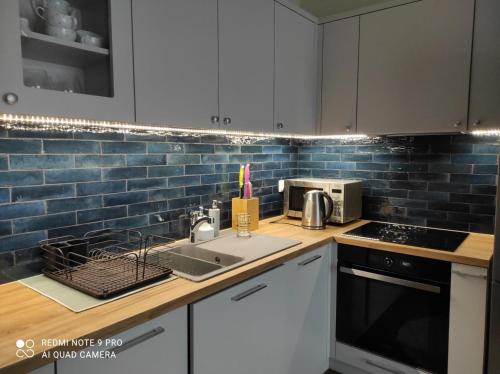 Konyha, Apartament na Wzgórzu Niebieski (Apartament na Wzgorzu Niebieski) in Lancut