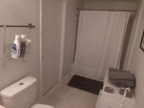 Spacious private suite, 20 miles from downtown ATl,relaxing! - Apartment - Conyers