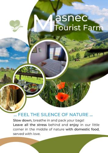 Masnec Tourist Farm - Hotel - Miljana