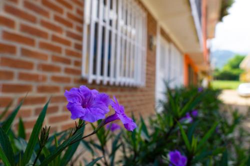 . Casa las ruelias