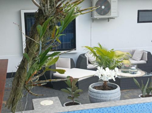 Facilities, Tropical appartement 2 in Domburg