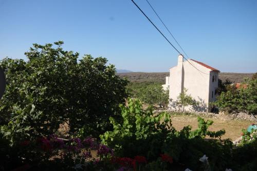 Apartment Stivan 382a - image 11