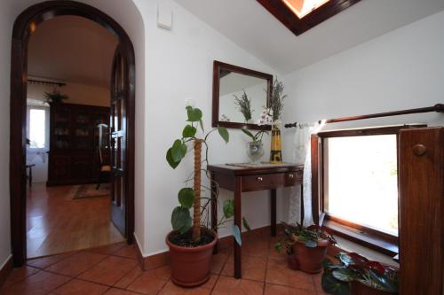 Apartments and rooms with parking space Cunski Losinj - 2498 - image 11