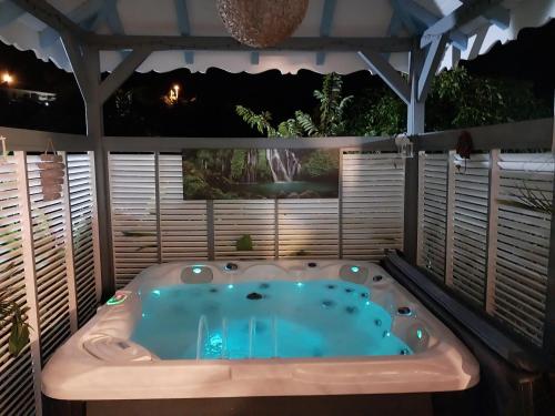 Les Gites Capra - Villa Aiméandre piscine et Spa (Les Gites Capra - Villa Aimeandre piscine et Spa) in Bouillante