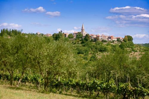  Funtana in Grožnjan (Haus für 2-3 Personen) in Grožnjan