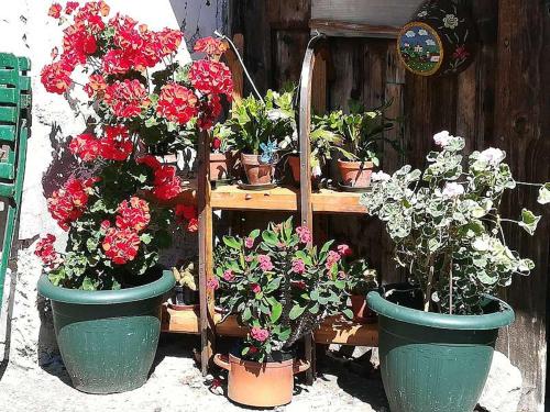 Haus Elsasser Haus Elsasser