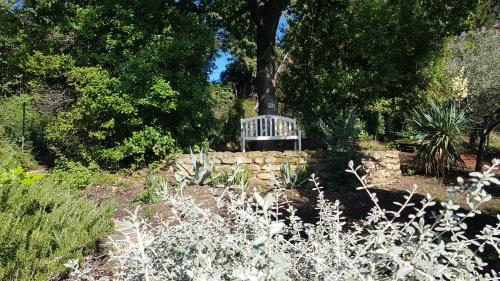  Home set in olive grove with stunning views in Mondavio