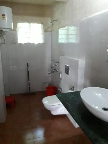 Stream Side Guest House photo