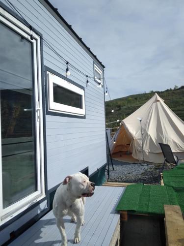 Tiny House Cluj with Jacuzzi