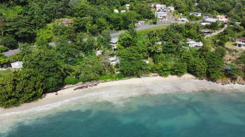 Port Antonio Brian's Beach House – Port Antonio