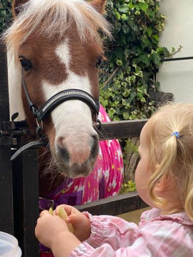 The Stable Annexe & Spa