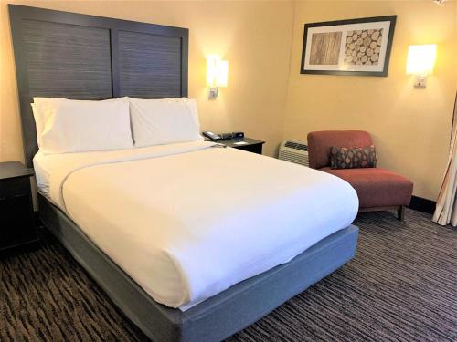 Holiday Inn Dublin - Pleasanton, an IHG Hotel