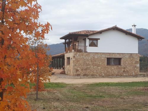 Seven-Bedroom House