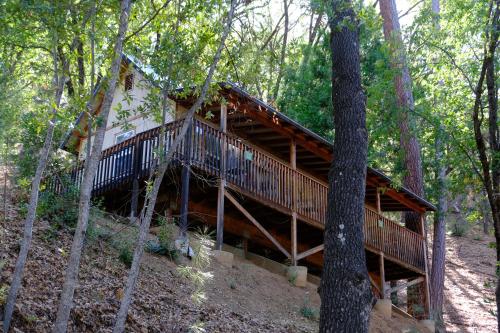 Yosemite Bug Rustic Mountain Resort