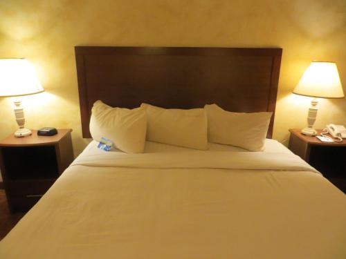 Ramada by Wyndham Austin South, Austin (photo 11)