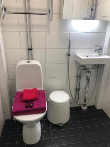 Bathroom, Picturesque Area in Helsinki Center Apartment in Ullanlinna