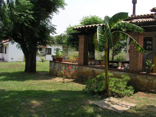 Garden, El Rincon de San Agustin Etla in Santo Domingo Barrio Alto