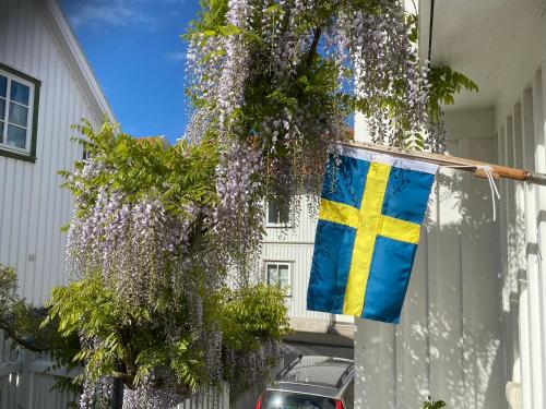 Bekvämt boende mitt i gamla genuina Skärhamn