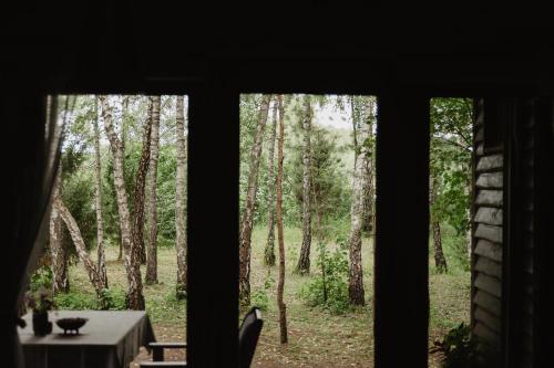 Beržų namelis - Birch cabin