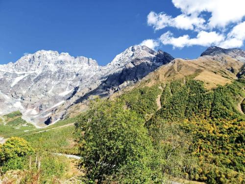 Guesthouse ZAMO in Ushguli