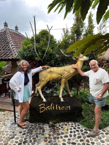 Balitrees Retreats