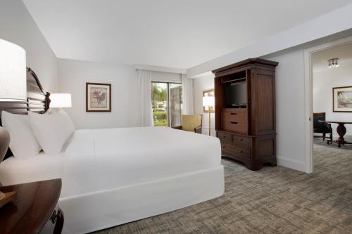 Saddlebrook Golf Resort & Spa Tampa North-Wesley Chapel