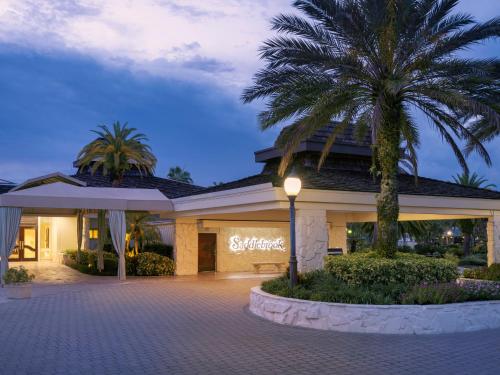 Saddlebrook Golf Resort & Spa Tampa North-Wesley Chapel