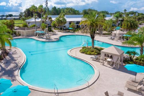 Saddlebrook Golf Resort & Spa Tampa North-Wesley Chapel