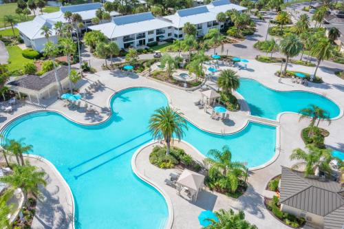 Saddlebrook Golf Resort & Spa Tampa North-Wesley Chapel