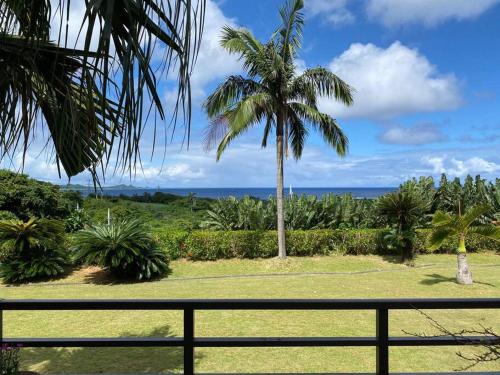 South Sea Ishigaki in Yonehara Beach