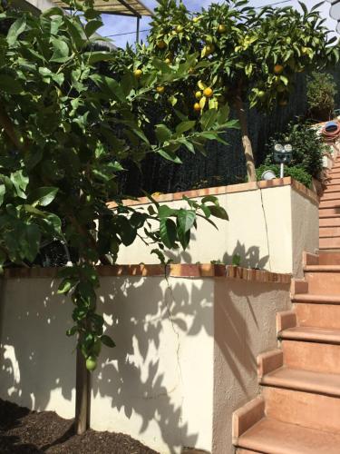 Villa Paradiso, logement avec piscine, Nice Nord, Nicea (zdjęcie 7)