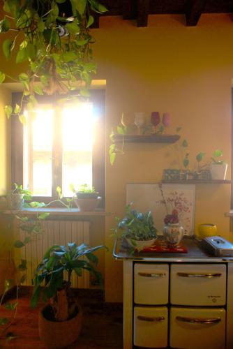 Potus Home, Verona (foto 7)