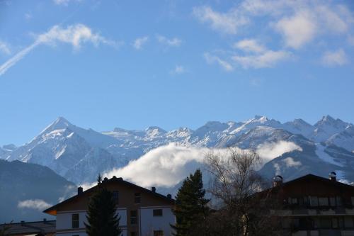 Apartmenthouse "5 Seasons" - Zell am See