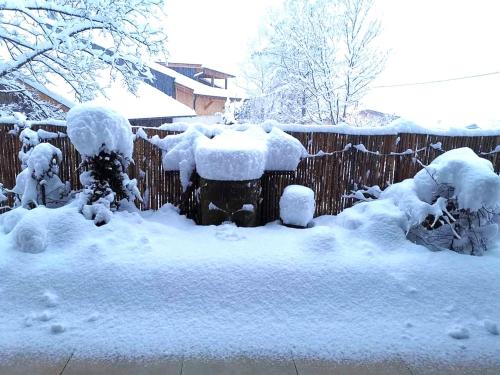 حديقة, Wohlfarter in Jerzens