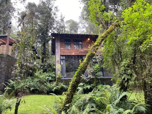 CABANA en el bosque TRANQUILIDAD ABSOLUTA, UNICO