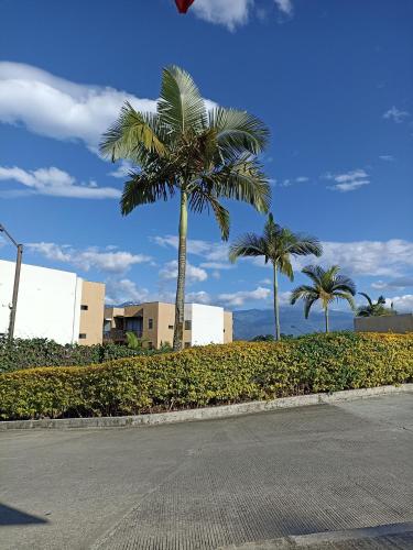 A szálláshely kívülről, Acogedor fresco iluminado rodeado de naturaleza apartasol en el Quindío (Acogedor fresco iluminado rodeado de naturaleza apartasol en el Quindio) in La Tebaida