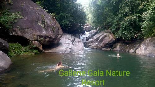 Gallene Gala Nature Resort