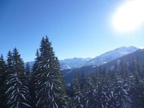 Kitz Residenz Top 6 - image 12